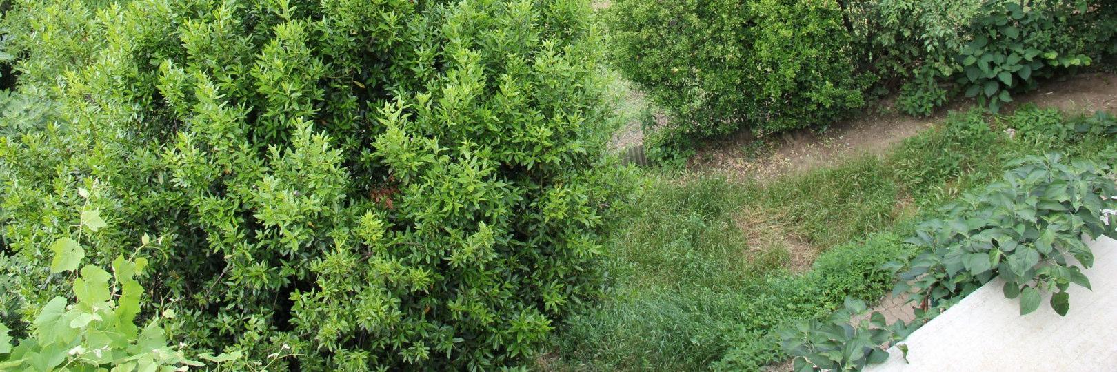 immobile terreno all'asta in Via Prealpina Inferiore n 5 Gorno (BG) - 4