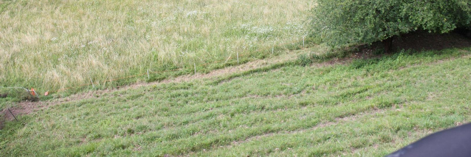 immobile terreno all'asta in Via Prealpina Inferiore n 5 Gorno (BG) - 1