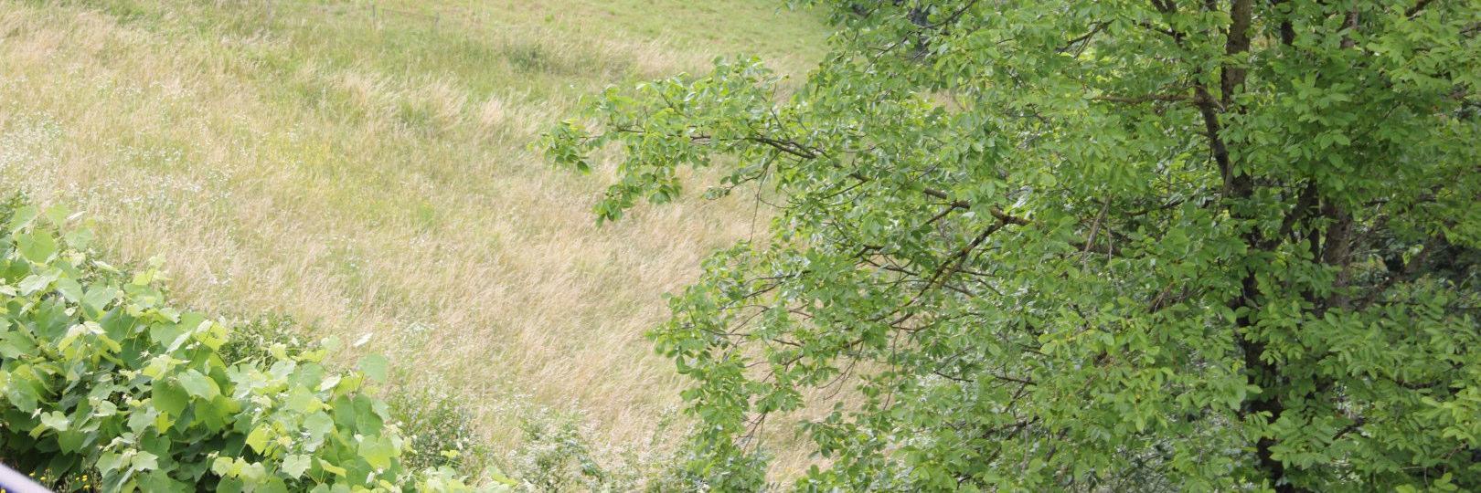 immobile terreno all'asta in Via Prealpina Inferiore n 5 Gorno (BG) - 3