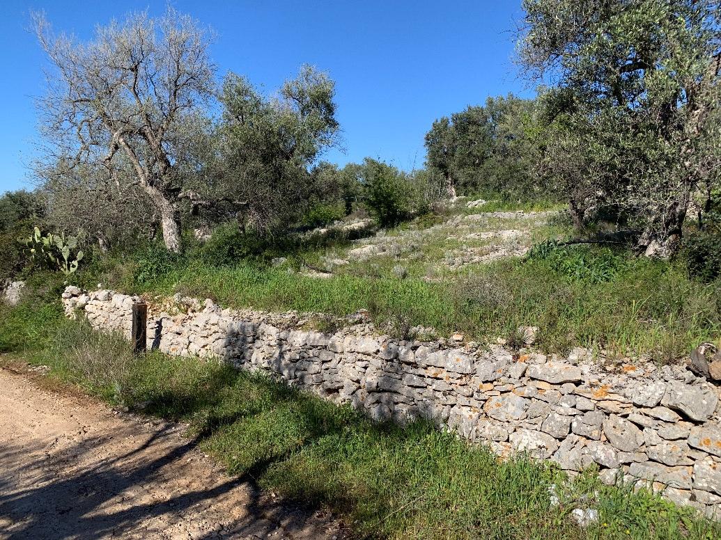 immobile terreno all'asta in Frazione Contrada Abbazia di Tufari - 76121 Bisceglie (BT) - 1