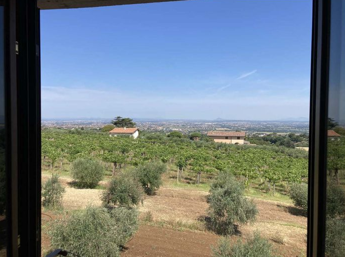 immobile APPARTAMENTO ALL'ASTA IN VIA DI MONTE MELLONE, ROMA (RM) - 1