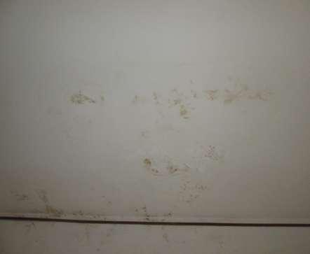 immobile appartamento all'asta in Viale San Biagio 01 - 26845 Codogno (LO) - 4