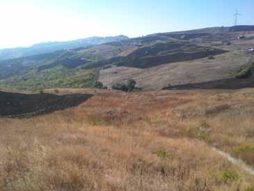 immobile rustico all'asta in Contrada Cerro Campone  - 86040 Pietracatella (CB) - 2