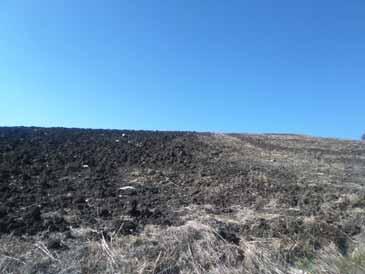 immobile rustico all'asta in Contrada Cerro Campone  - 86040 Pietracatella (CB) - 4
