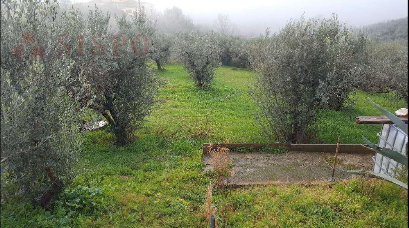 immobile terreno all'asta in LOC POZZO SNC - 06035 Gualdo Cattaneo (PG) - 1