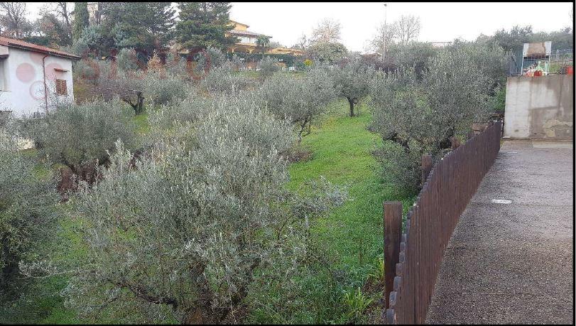 immobile terreno all'asta in LOC POZZO SNC - 06035 Gualdo Cattaneo (PG) - 2