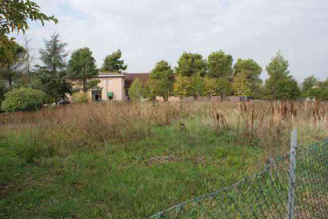 immobile terreno all'asta in VIA MARTIN LUTHER KING CONTRADA SAN GIUSEPPE - 62015 Monte San Giusto (MC) - 1