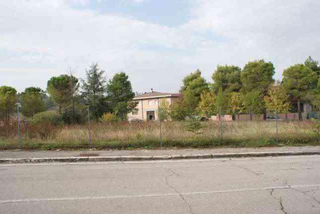immobile terreno all'asta in VIA MARTIN LUTHER KING CONTRADA SAN GIUSEPPE - 62015 Monte San Giusto (MC) - 2