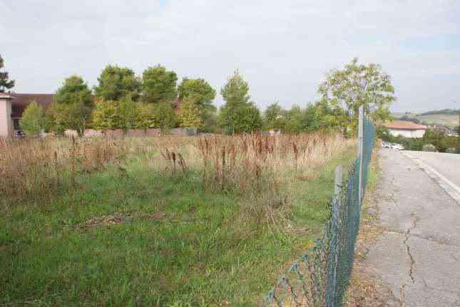 immobile terreno all'asta in VIA MARTIN LUTHER KING CONTRADA SAN GIUSEPPE - 62015 Monte San Giusto (MC) - 3