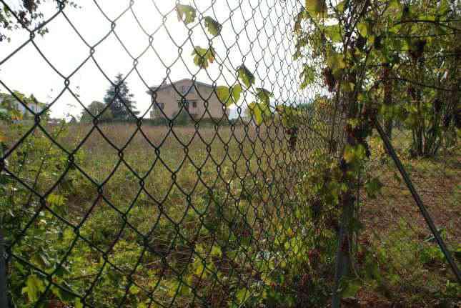 immobile terreno all'asta in VIA MARTIN LUTHER KING CONTRADA SAN GIUSEPPE - 62015 Monte San Giusto (MC) - 5