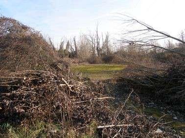 immobile terreno all'asta in via Cusago SP 114 Cusago (MI) - 1