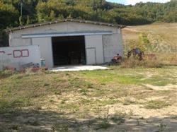 immobile rustico all'asta in località ca lazzaro - 61029 Urbino (PU) - 3