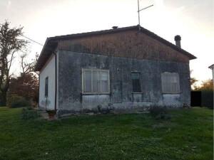 immobile appartamento all'asta in loc Runzi, Via Pellizzare, 1054 - 45022 Bagnolo di Po (RO) - 1