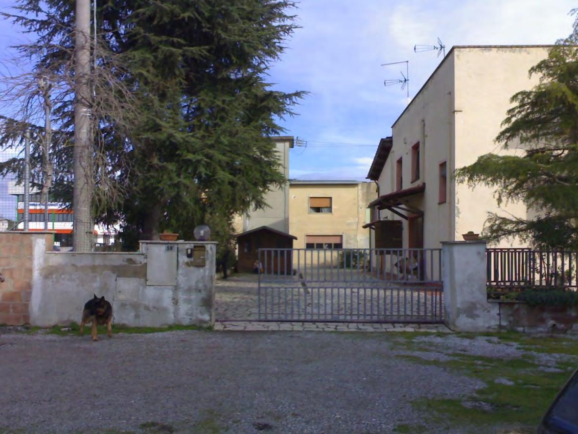 immobile ufficio all'asta in via Martiri della Libertà n 58 - 53041 Asciano (SI) - 3