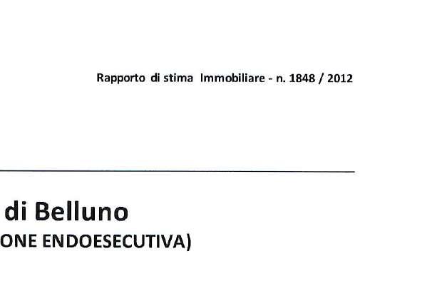 immobile appartamento all'asta in Località Torres, Frazione Pieve, Via G De Felip, 10 - 32016 Alpago (BL) - 4