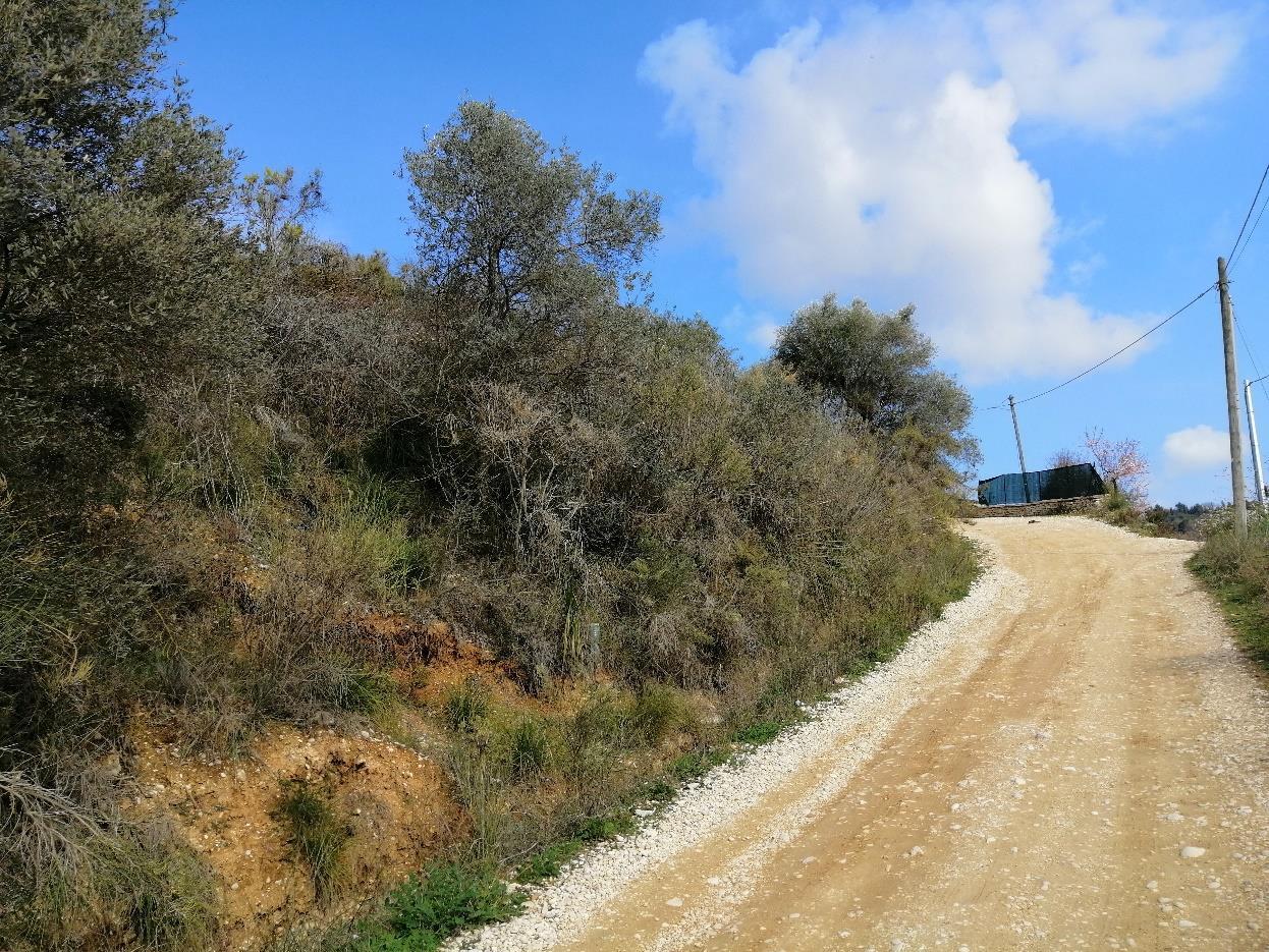 immobile terreno all'asta in Contrada SAN SALVATORE - 63038 Ripatransone (AP) - 1