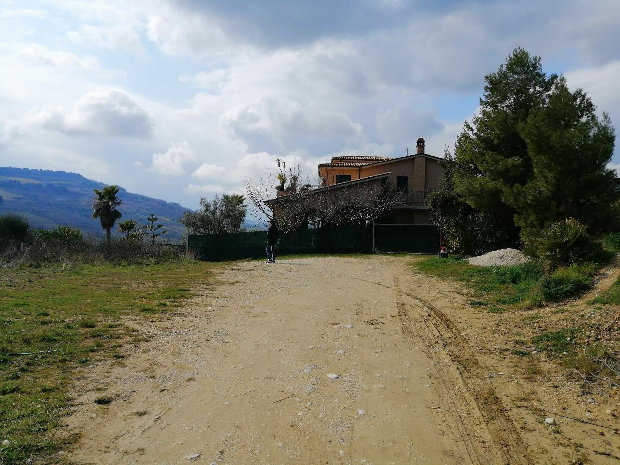 immobile terreno all'asta in Contrada SAN SALVATORE - 63038 Ripatransone (AP) - 3