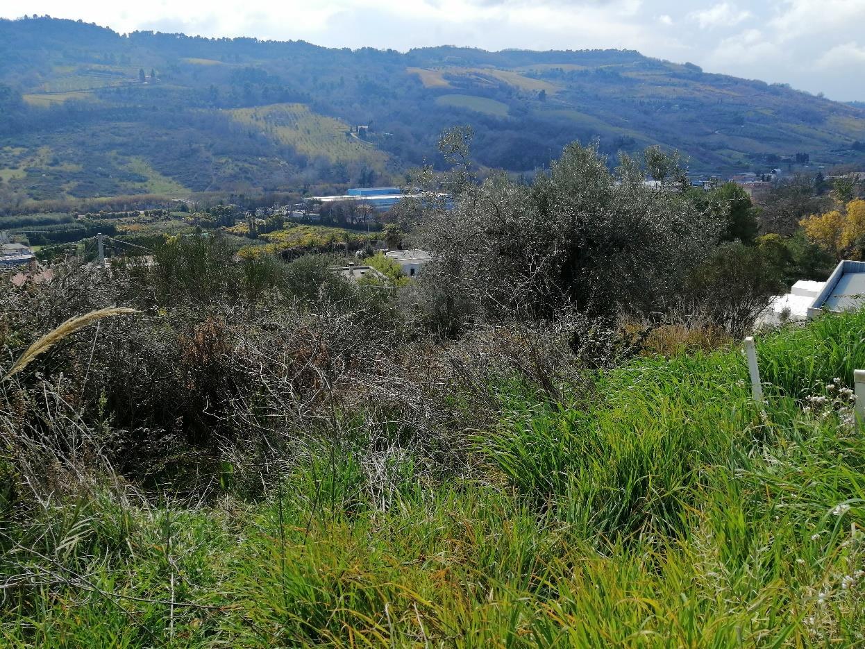 immobile terreno all'asta in Contrada SAN SALVATORE - 63038 Ripatransone (AP) - 4