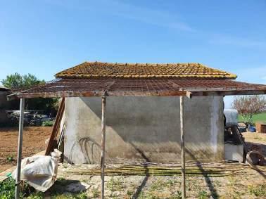 immobile terreno all'asta in loc Querciolo snc - 58100 Grosseto (GR) - 4