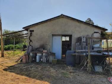 immobile terreno all'asta in loc Querciolo snc - 58100 Grosseto (GR) - 5