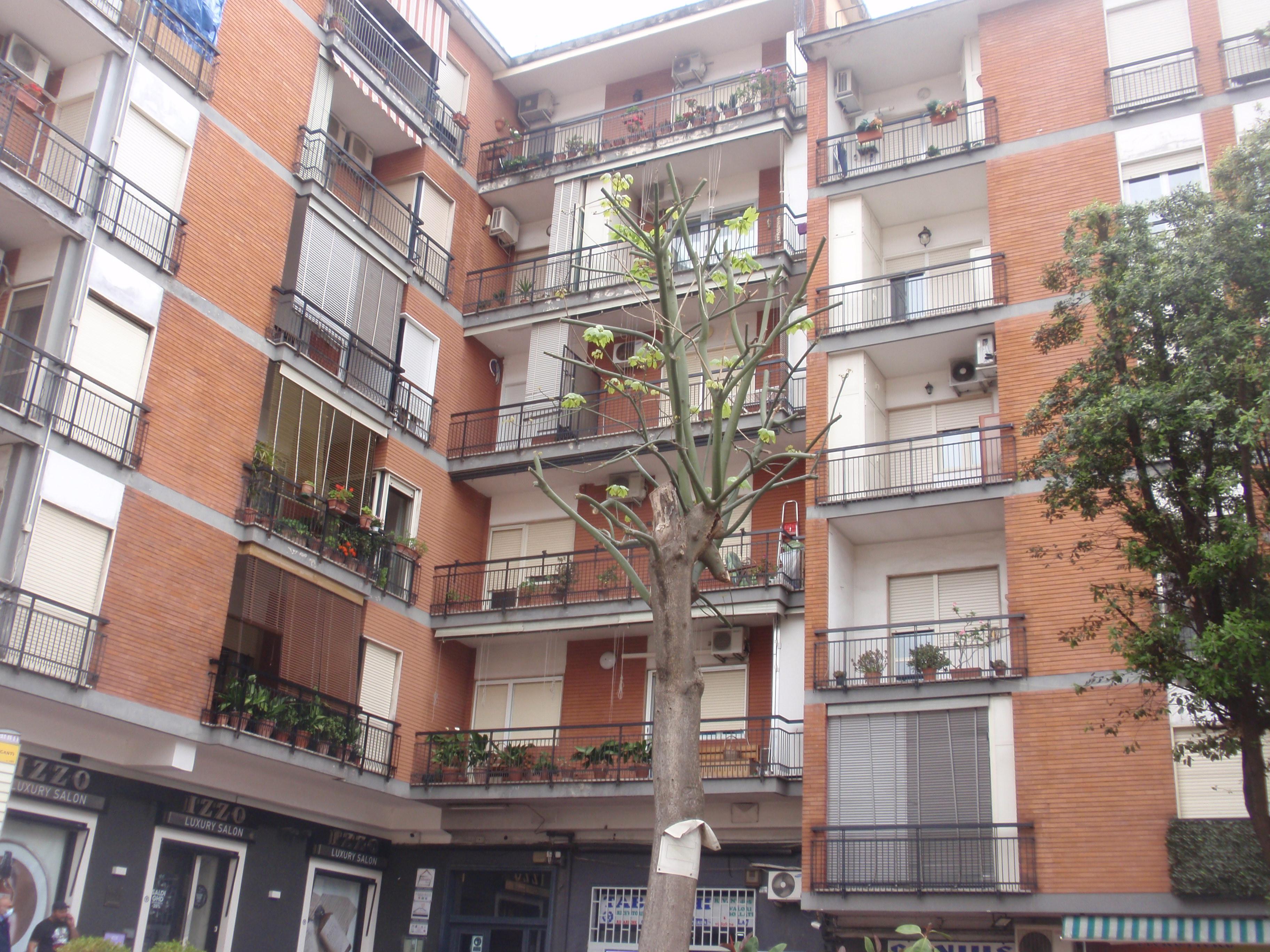 immobile appartamento all'asta in Via Filippo Maria Briganti 80 - 80141 Napoli (NA) - 1