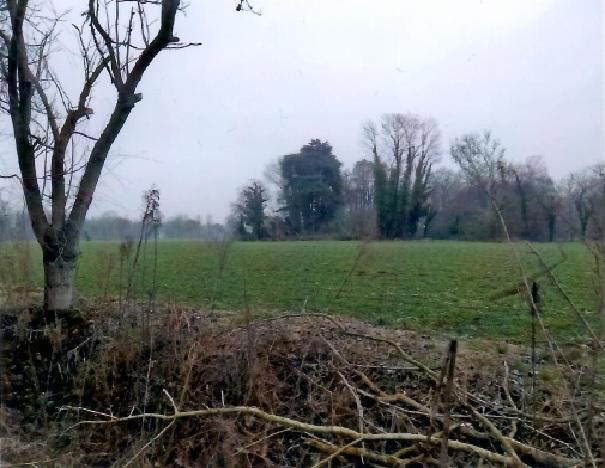 immobile terreno all'asta in Accesso dalla strada comunale Via San Rocco snc - 35013 Cittadella (PD) - 1