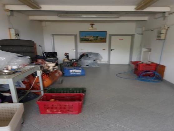 immobile appartamento all'asta in CDA CELESTIALE, 8 - 63853 Montelparo (FM) - 5