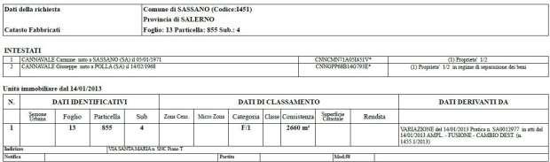 immobile attivita commerciale all'asta in Via Santa Maria - 84038 Sassano (SA) - 3