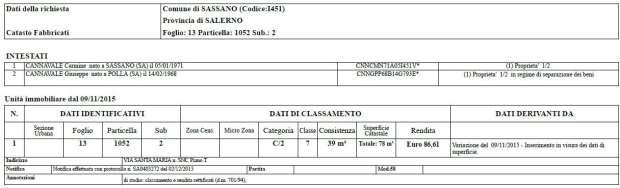 immobile attivita commerciale all'asta in Via Santa Maria - 84038 Sassano (SA) - 4
