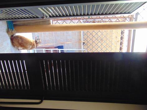 immobile appartamento all'asta in Lungomare Regina Elena, 88 - 00055 Ladispoli (RM) - 5