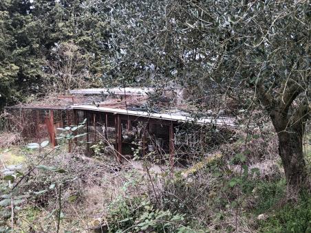 immobile terreno all'asta in cda Imperatore snc - 82100 Benevento (BN) - 3