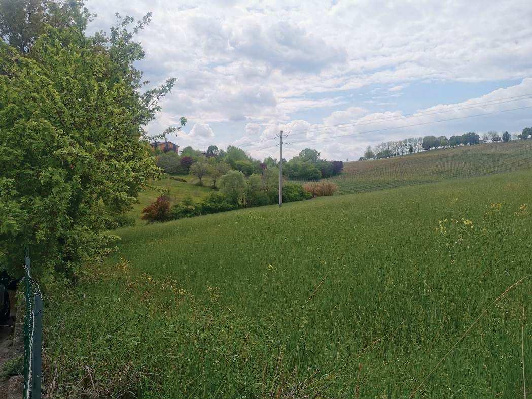 immobile terreno all'asta in c/o Via Garibaldi - 41014 Castelvetro di Modena (MO) - 2