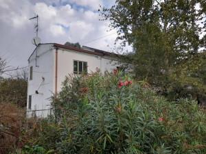 immobile appartamento all'asta in Via Arginelli, 918 - 45034 Canaro (RO) - 3