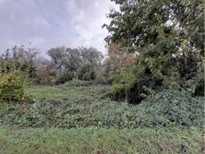 immobile appartamento all'asta in Via Arginelli, 918 - 45034 Canaro (RO) - 4