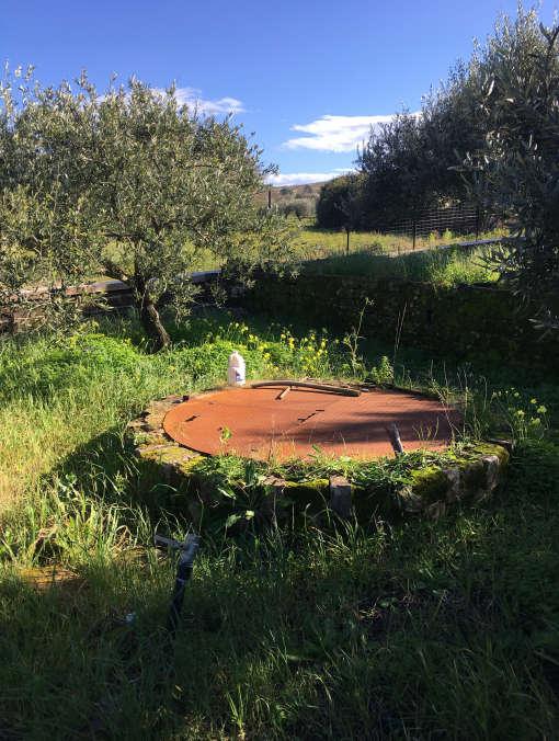 immobile terreno all'asta in Pedagaggi, Cda Piana dei Monaci - 96013 Carlentini (SR) - 3