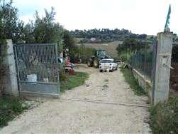 immobile appartamento all'asta in via Celeste n 329 - 63811 Sant'Elpidio a Mare (FM) - 1