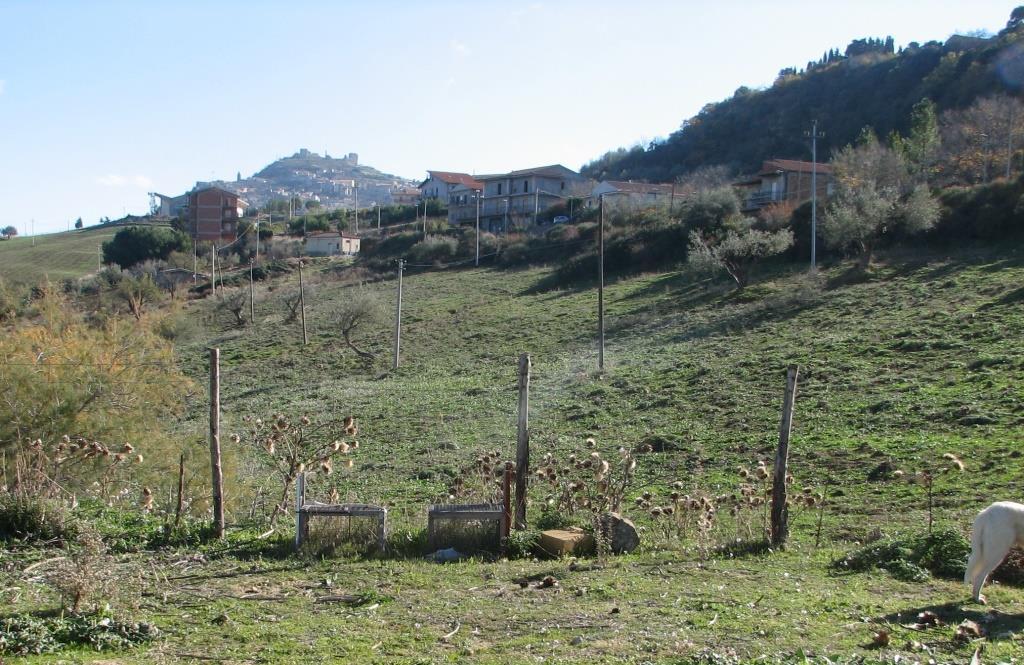 immobile terreno all'asta in Contrada Spinapulici - 94011 Agira (EN) - 3