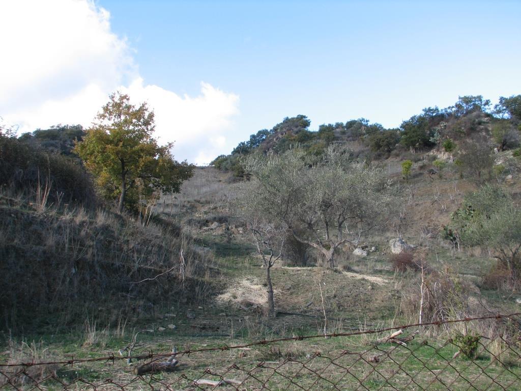immobile terreno all'asta in Contrada Franceschini - 94011 Agira (EN) - 3