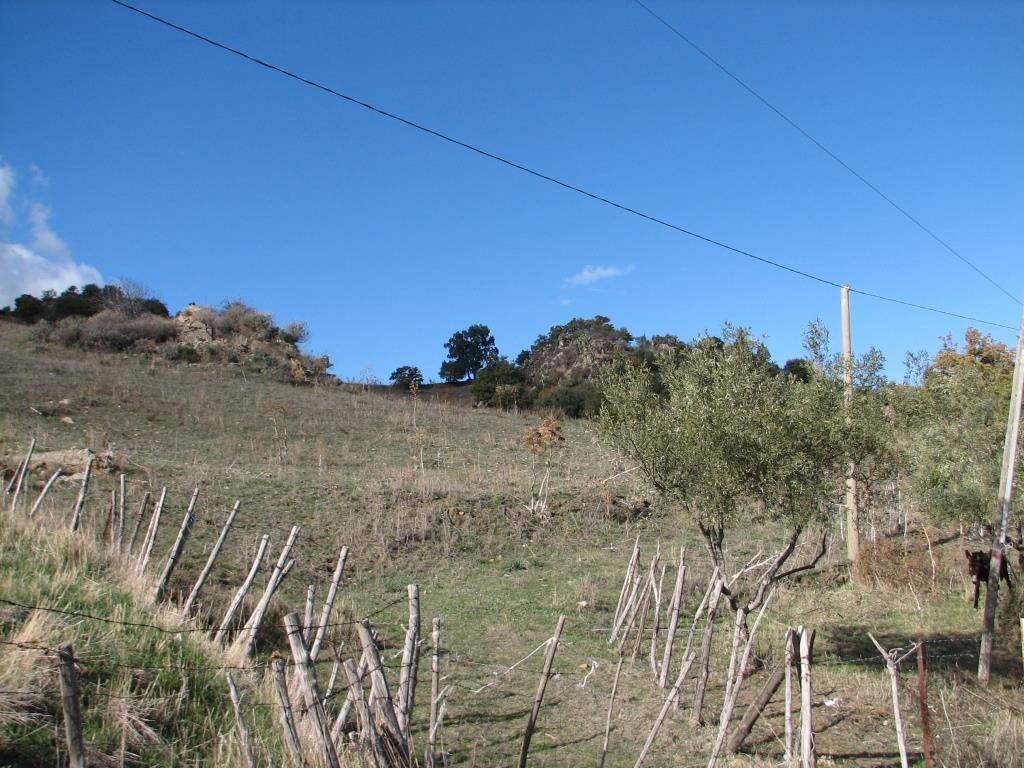 immobile terreno all'asta in Contrada Franceschini - 94011 Agira (EN) - 4