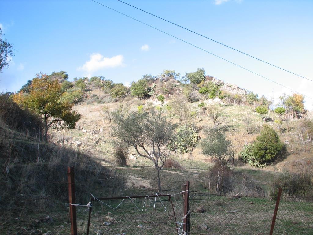 immobile terreno all'asta in Contrada Franceschini - 94011 Agira (EN) - 5