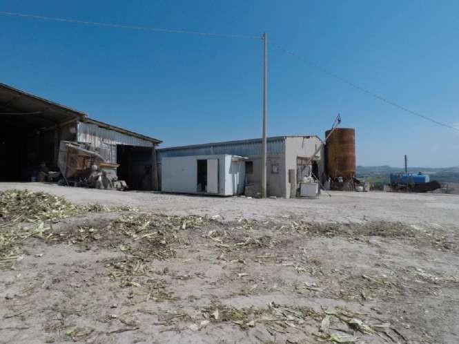 immobile terreno all'asta in Contrada Pallino e Ferretti  - 63036 Spinetoli (AP) - 1