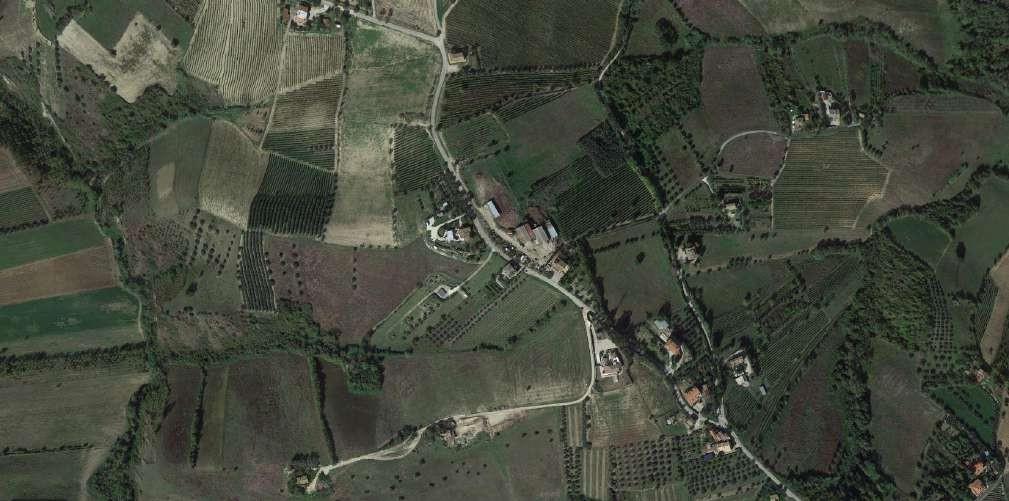 immobile terreno all'asta in Contrada Pallino e Ferretti  - 63036 Spinetoli (AP) - 3
