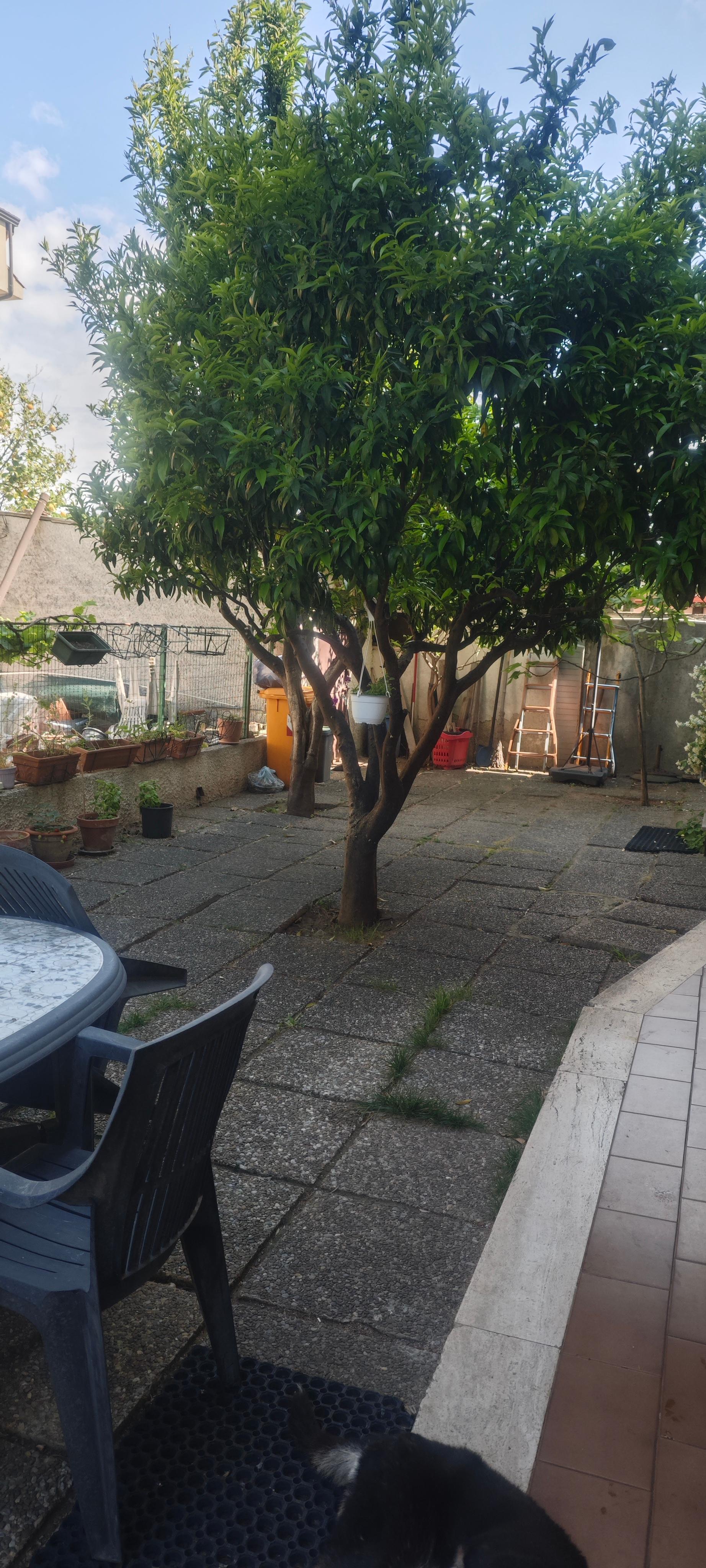 immobile villa all'asta in Via Bruno Misefari, 3 - 87040 Castrolibero (CS) - 4