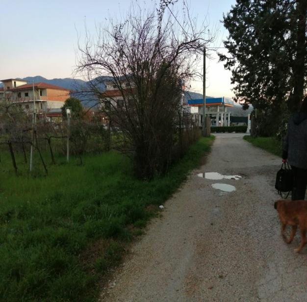 immobile appartamento all'asta in Via Telese n285 - 82031 Amorosi (BN) - 2