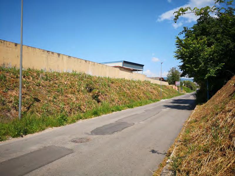 immobile magazzino all'asta in Frazione Carano, località Feroni - Strada Provinciale 104 Sessa Aurunca (CE) - 4