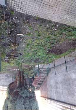 immobile appartamento all'asta in Via per Casasco n 23 Centro Valle Intelvi - 22023 San Fedele Intelvi (CO) - 5