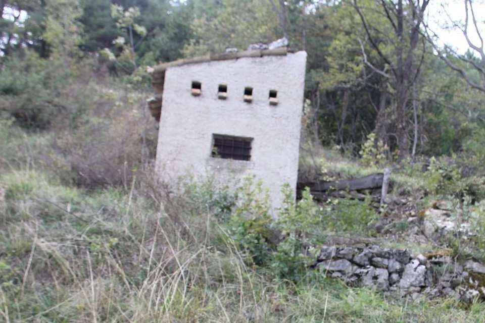 immobile terreno all'asta in Localita' Collina snc - 63048 Montemonaco (AP) - 5