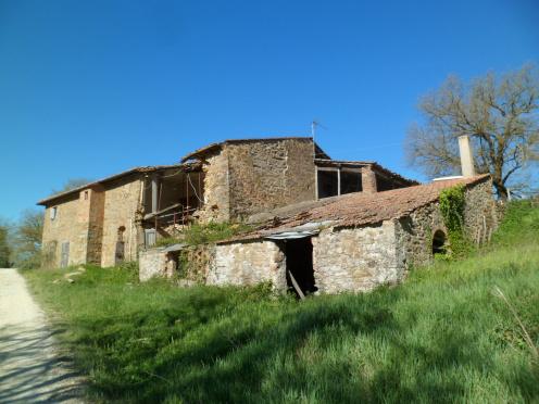 immobile RUSTICO ALL'ASTA IN FRAZIONE LAMOLE VIA LAMOLE NC37-38 LOCALITÀ “LA VILLA GREVE IN CHIANTI (FI) - 1