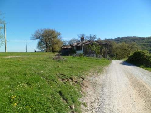 immobile RUSTICO ALL'ASTA IN FRAZIONE LAMOLE VIA LAMOLE NC37-38 LOCALITÀ “LA VILLA GREVE IN CHIANTI (FI) - 5