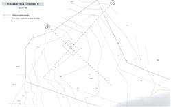 immobile terreno all'asta in Localita' Saline - 38050 Canal San Bovo (TN) - 1